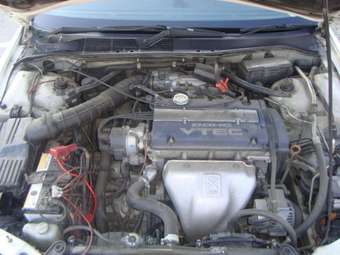 1998 Honda Torneo Pictures