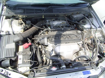 Honda Torneo
