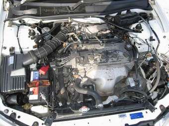Honda Torneo