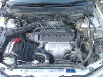 Honda Torneo