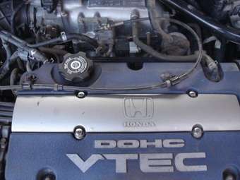 1999 Honda Torneo Photos