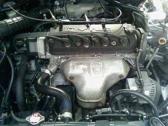 2001 Honda Torneo For Sale