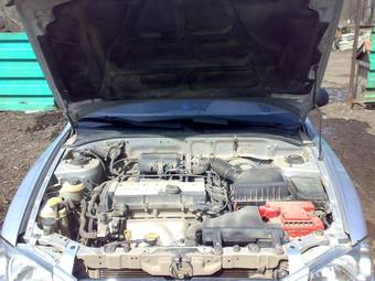 2005 Hyundai Accent Pics