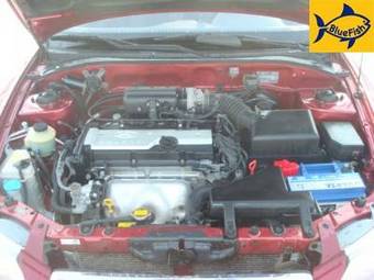 2006 Hyundai Accent Pictures