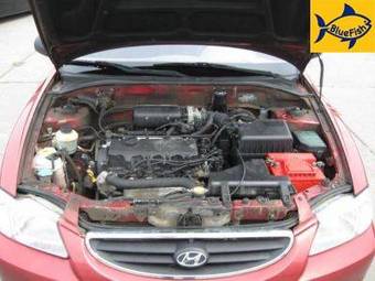 2006 Hyundai Accent Pictures