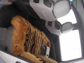 2003 Hyundai Matrix Photos