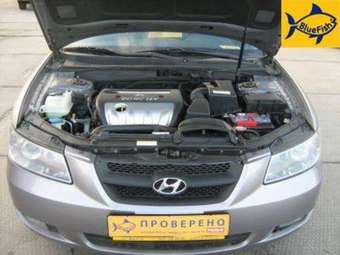 2006 Hyundai NF Pictures