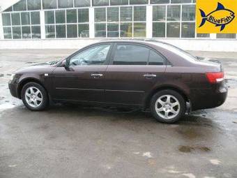 2006 Hyundai NF Pictures