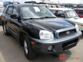 2002 Hyundai Santa Fe Pictures