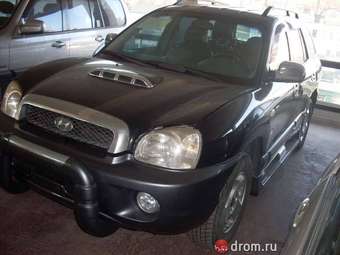 2002 Hyundai Santa Fe Pictures