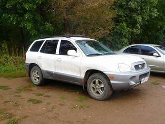 2002 Hyundai Santa Fe Pictures