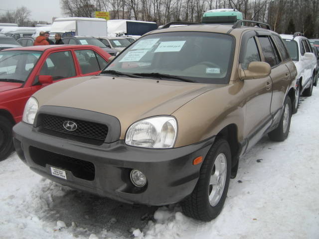 2002 Hyundai Santa Fe