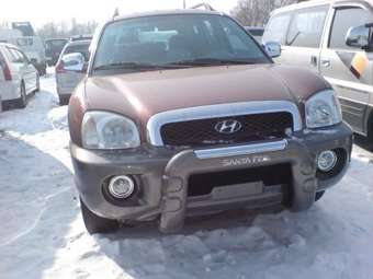 2004 Hyundai Santa Fe Pictures