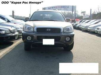 2004 Hyundai Santa Fe Pictures