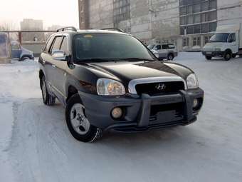 2004 Hyundai Santa Fe Images