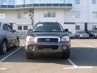 2004 Hyundai Santa Fe Photos