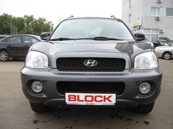 2004 Hyundai Santa Fe Pictures