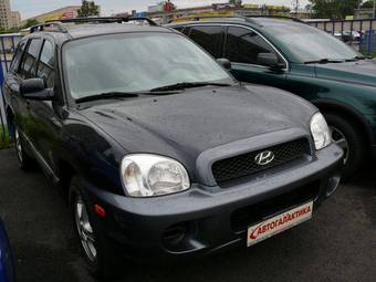 2004 Hyundai Santa Fe Images