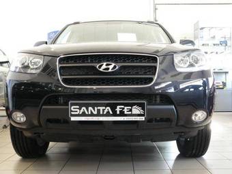 2009 Hyundai Santa Fe Pictures
