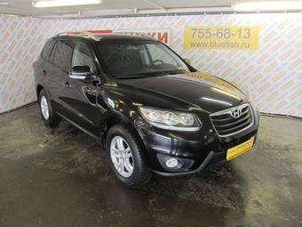 2010 Hyundai Santa Fe Pics