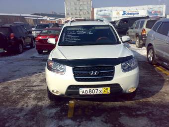 2010 Hyundai Santa Fe Pictures