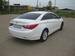 Preview 2010 Sonata