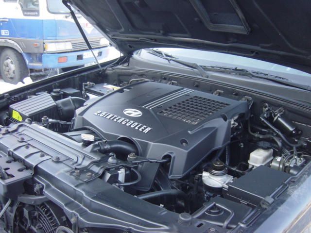 2002 Hyundai Terracan