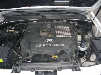 2002 Hyundai Terracan Pictures