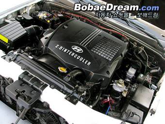2002 Hyundai Terracan Pictures