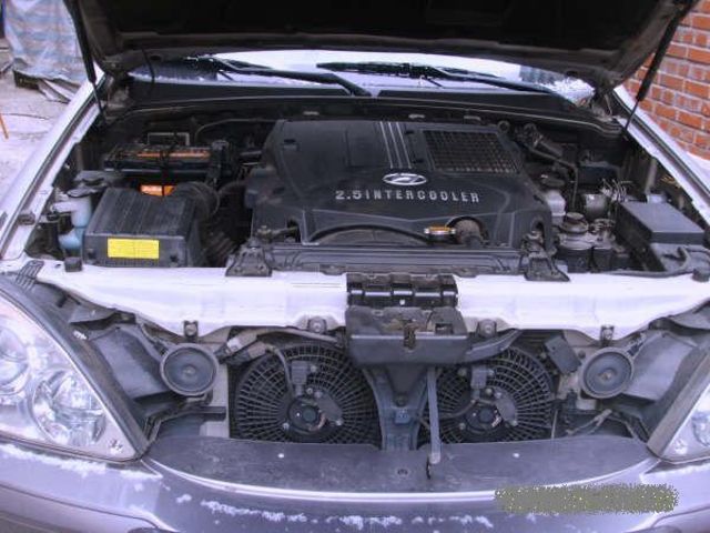 2003 Hyundai Terracan