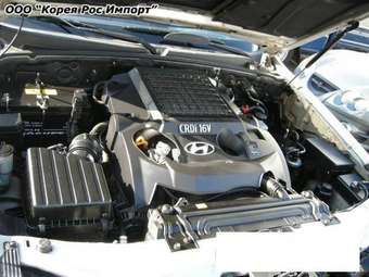 2004 Hyundai Terracan Pictures