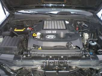 2004 Hyundai Terracan Pictures