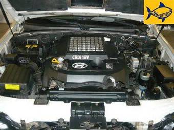 2004 Hyundai Terracan Pictures