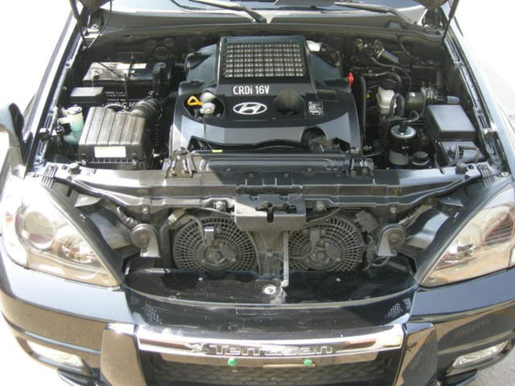 2005 Hyundai Terracan