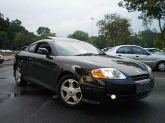 2003 Tiburon