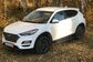 2019 Hyundai Tucson III TL 2.0 AT 4WD CRDi Dynamic (185 Hp) 