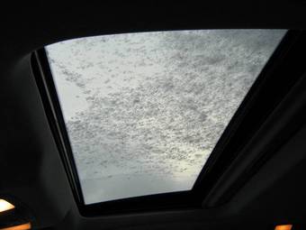 2008 Infiniti FX35 Pictures