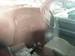 Preview Isuzu Bighorn