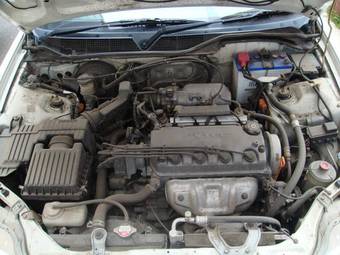 2000 Isuzu Gemini Photos