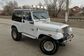 Wrangler YJ 4.0 MT Hard Top Renegade (184 Hp) 