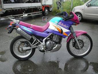 1993 Kawasaki KLE250 ANHELO Pictures