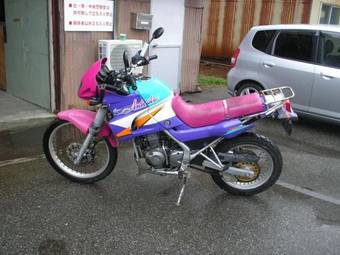 1993 Kawasaki KLE250 ANHELO Pictures