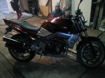 1994 Kawasaki Xanthus Pictures
