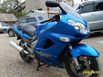 2003 Kawasaki ZZ-R Pics