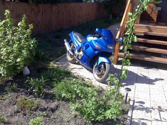 1992 Kawasaki ZZ-R400 Pictures