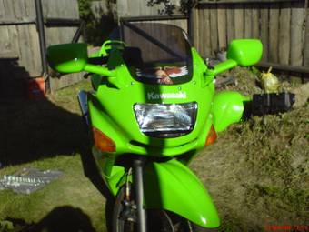 1995 Kawasaki ZZ-R400 Pictures