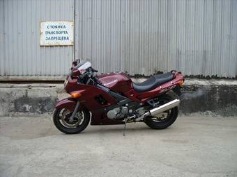 2002 Kawasaki ZZ-R400 Pictures