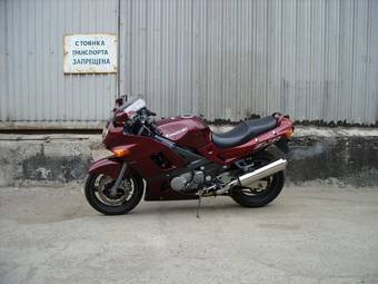 2002 Kawasaki ZZ-R400 Pictures