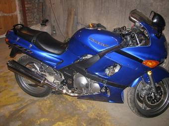 2003 Kawasaki ZZ-R400 Photos