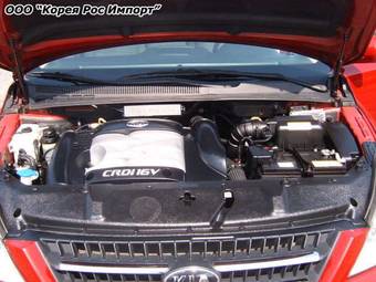 2006 Kia Carnival Pictures
